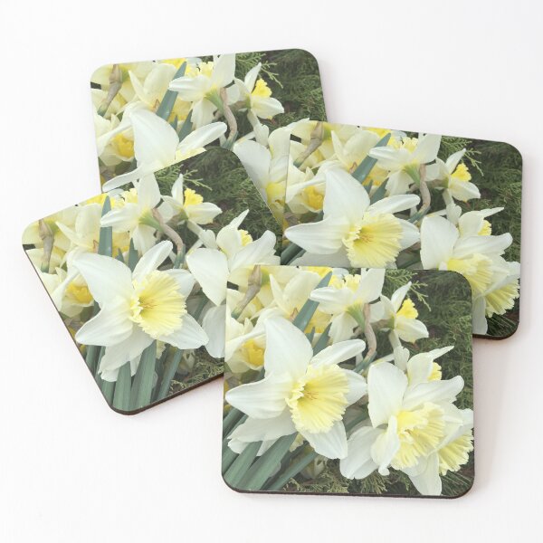 Item preview, Flowers of spring in the garden * Narcissus * BIPHOTO designed and sold by BIPHOTONEWS.