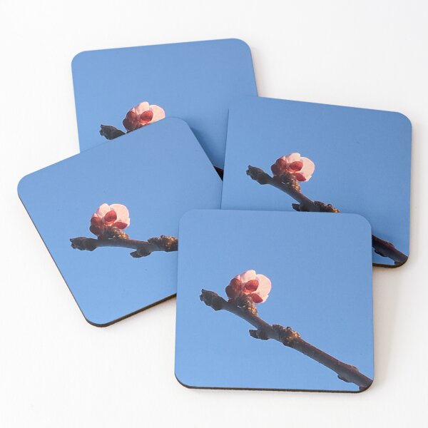 Item preview, Flowers of spring in the garden * peach blossom * BIPHOTO designed and sold by BIPHOTONEWS.