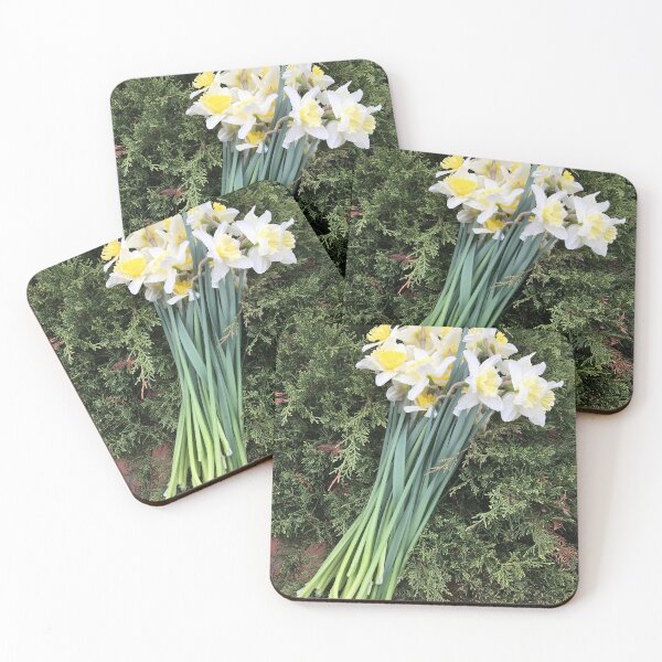 Item preview, Flowers of spring in the garden * Narcissus * BIPHOTO designed and sold by BIPHOTONEWS.