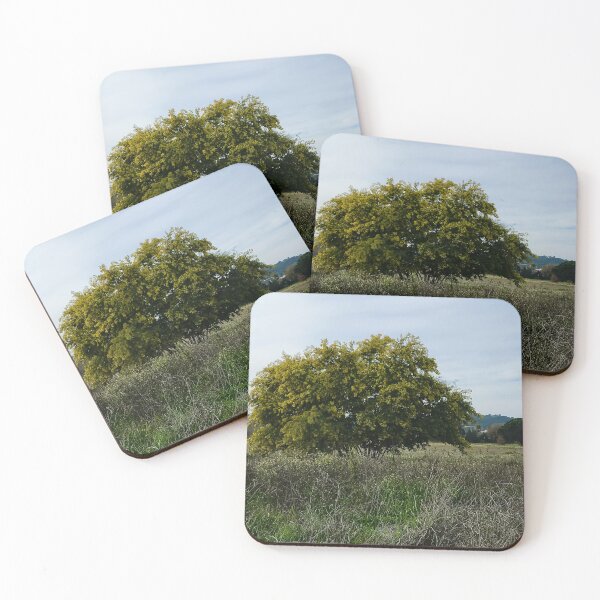 Item preview, Flowers of spring mimosa tree, landscape Cote d'Azur * BIPHOTO designed and sold by BIPHOTONEWS.