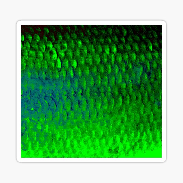 Vista previa del artículo con la obra «Escamas de cacho verde limo», diseñado y vendido por CJRPics.