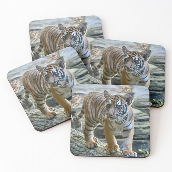 Item preview, Malayan Tiger Cub designed and sold by richardbryce.