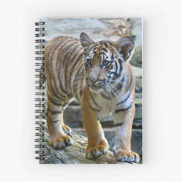 Item preview, Malayan Tiger Cub designed and sold by richardbryce.