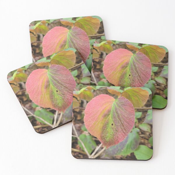 Item preview, Stunning Fall Leaf designed and sold by MtnAshMan.