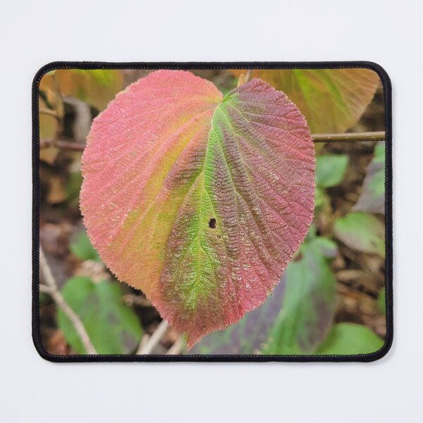 Item preview, Stunning Fall Leaf designed and sold by MtnAshMan.
