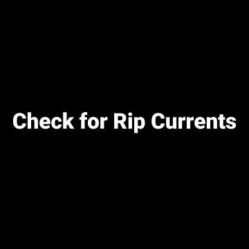 Artwork thumbnail, Check for Rip Currents by Text-based T-Shirts and Gifts