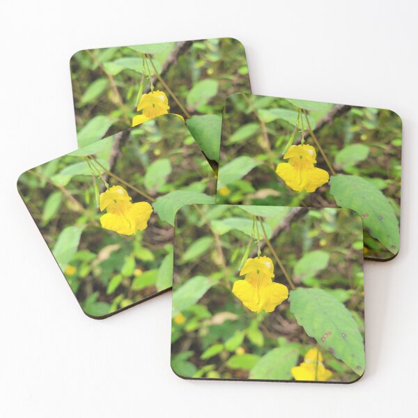 Item preview, A Delicate Yellow Jewelweed Blossom designed and sold by MtnAshMan.