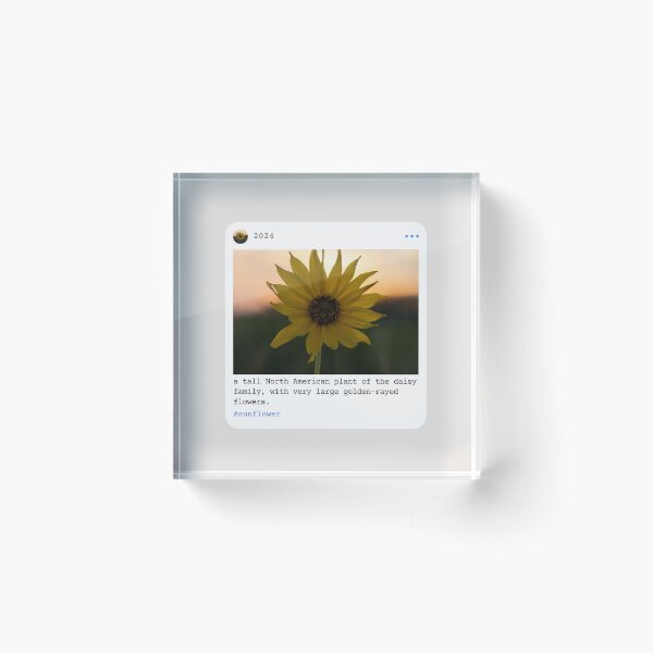 Item preview, aesthetic sunflower designed and sold by ElizabethCoelho.