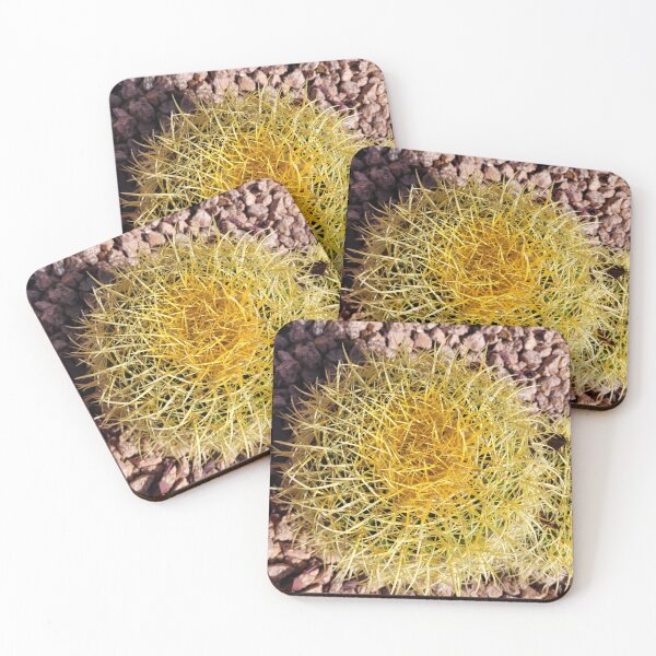 Item preview, A Lone Spiny Cactus designed and sold by MtnAshMan.