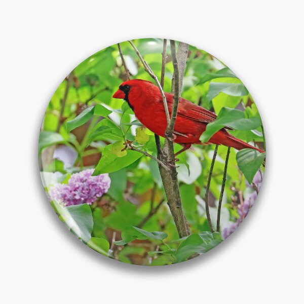 Item preview, Cardinal And Lilacs designed and sold by Deb Oppermann.