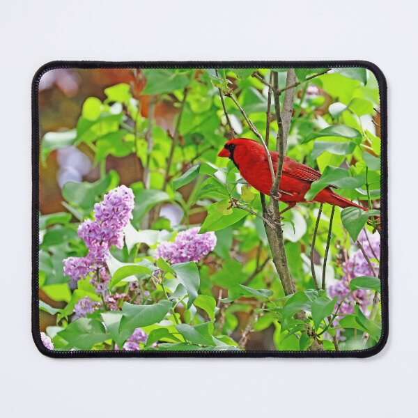 Item preview, Cardinal And Lilacs designed and sold by Deb Oppermann.