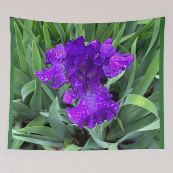 Item preview, Purple Bearded Iris designed and sold by mamamur.