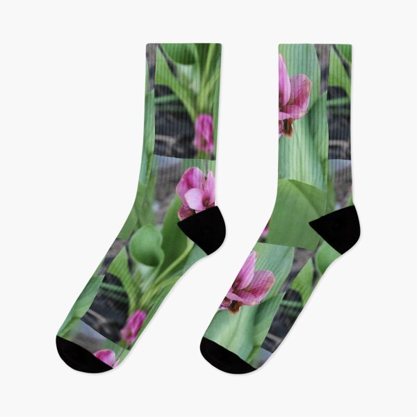 Item preview, Stillness of the bloomed construction condensed. designed and sold by John Tyler Mounce.