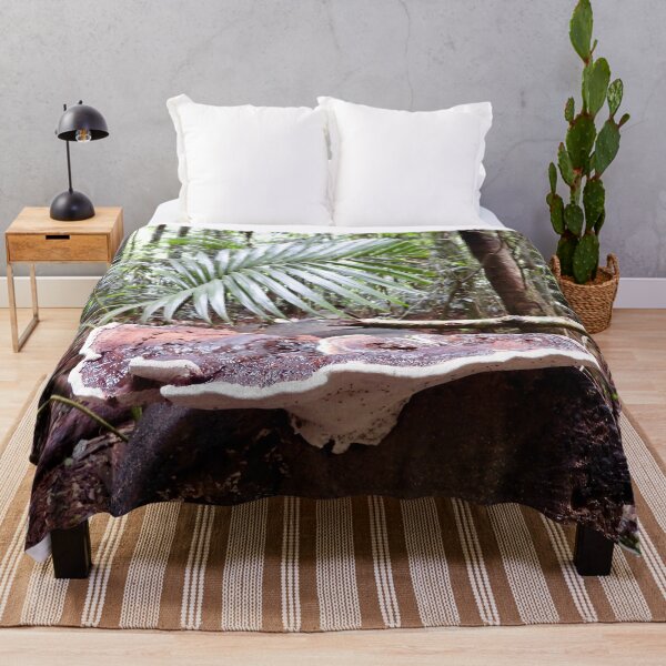 Item preview, Maleny rainforest fungus growing on fallen tree designed and sold by Mark Grimsley.