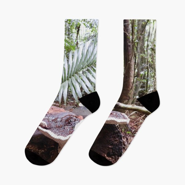 Item preview, Maleny rainforest fungus growing on fallen tree designed and sold by Mark Grimsley.