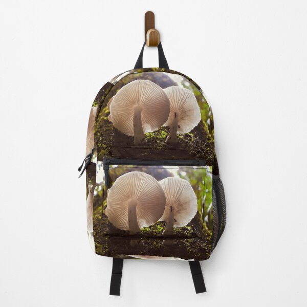 Item preview, Mushrooms on side of tree Maleny rainforest Queensland designed and sold by Mark Grimsley.