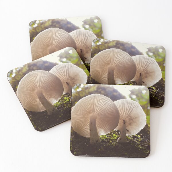 Item preview, Mushrooms on side of tree Maleny rainforest Queensland designed and sold by Mark Grimsley.