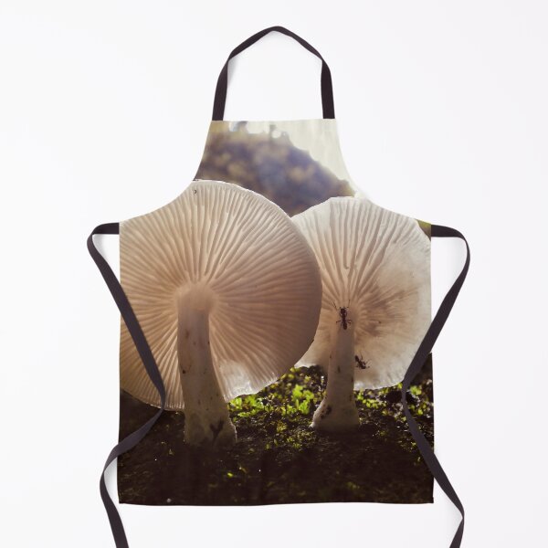 Item preview, Mushrooms on side of tree Maleny rainforest Queensland designed and sold by Mark Grimsley.