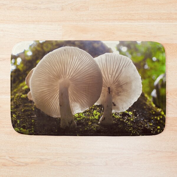 Item preview, Mushrooms on side of tree Maleny rainforest Queensland designed and sold by Mark Grimsley.