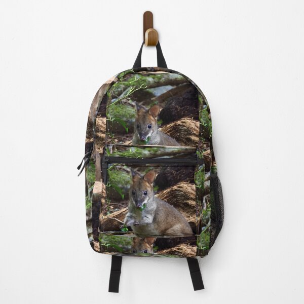 Item preview, Pademelon in Rainforest Maleny Queensland designed and sold by Mark Grimsley.