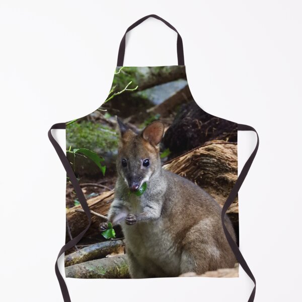 Item preview, Pademelon in Rainforest Maleny Queensland designed and sold by Mark Grimsley.