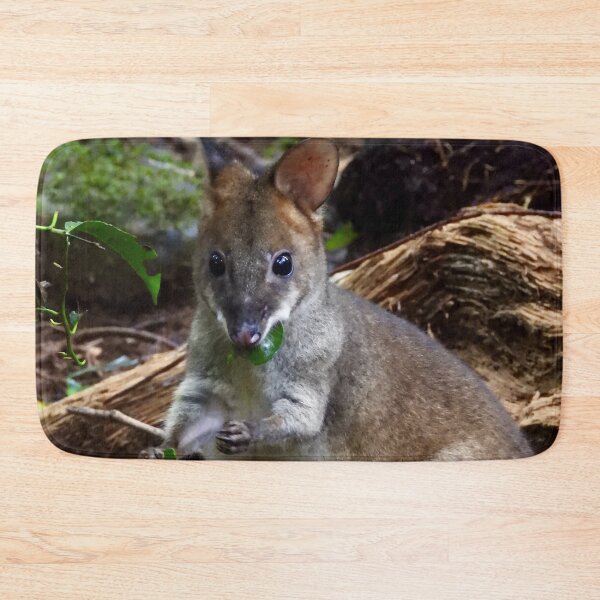 Item preview, Pademelon in Rainforest Maleny Queensland designed and sold by Mark Grimsley.