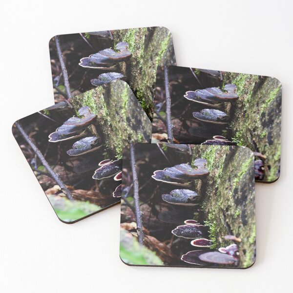 Item preview, Maleny rainforest fungus  designed and sold by Mark Grimsley.