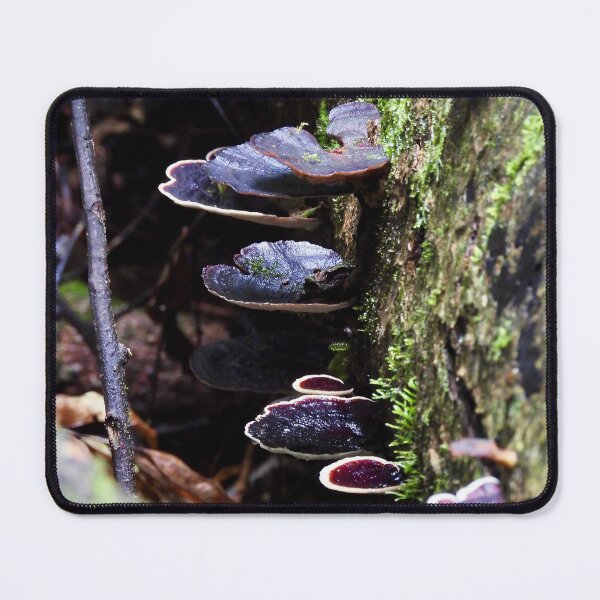 Item preview, Maleny rainforest fungus  designed and sold by Mark Grimsley.