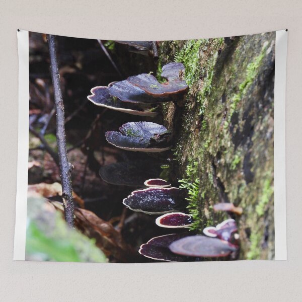 Item preview, Maleny rainforest fungus  designed and sold by Mark Grimsley.