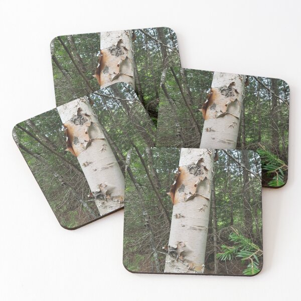 Item preview, Birch Tree Trunk in the Forest designed and sold by WhiteSoftPetals.