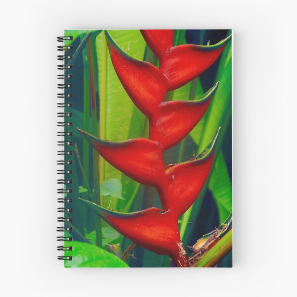 Item preview, Heliconia Leaf designed and sold by Barbara  Brown.