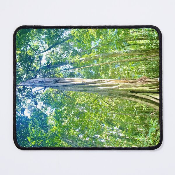 Item preview, Rainforest at Maleny Queensland designed and sold by Mark Grimsley.