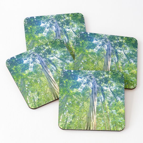 Item preview, Rainforest at Maleny Queensland designed and sold by Mark Grimsley.