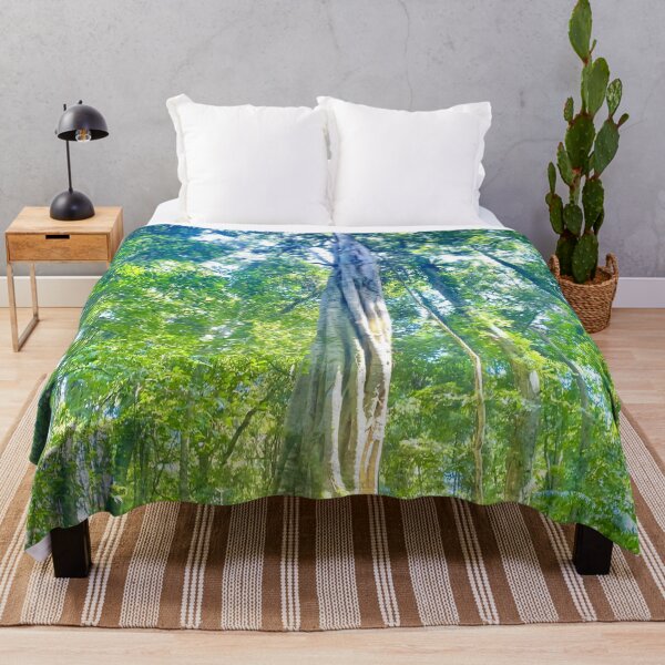 Item preview, Rainforest at Maleny Queensland designed and sold by Mark Grimsley.
