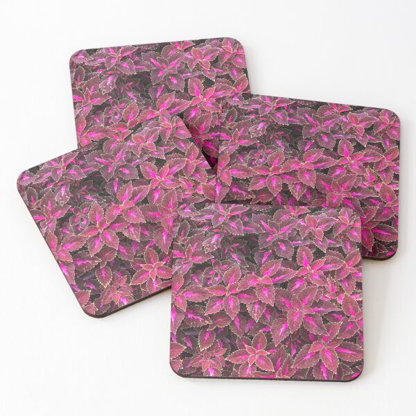 Item preview, Brilliant Pink Coleus designed and sold by KolconBlue.
