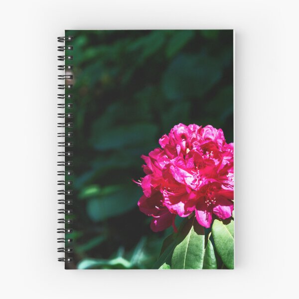 Item preview, Rhododendron Blooming in the Sun designed and sold by jrtwynam.