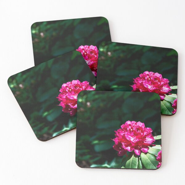 Item preview, Rhododendron Blooming in the Sun designed and sold by jrtwynam.