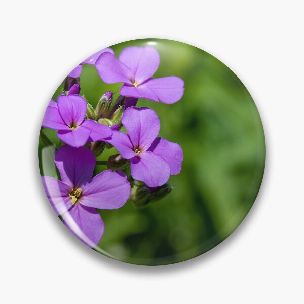 Item preview, Violet Dame's Rocket Blooms in the Sun designed and sold by jrtwynam.
