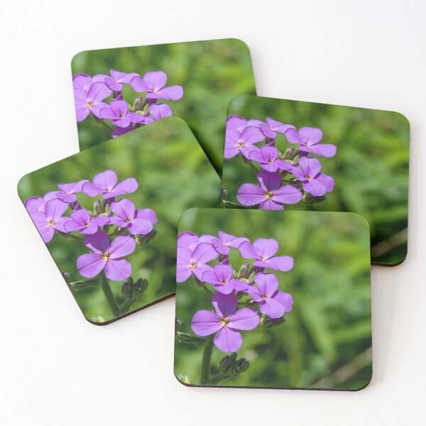 Item preview, Violet Dame's Rocket Blooms in the Sun designed and sold by jrtwynam.