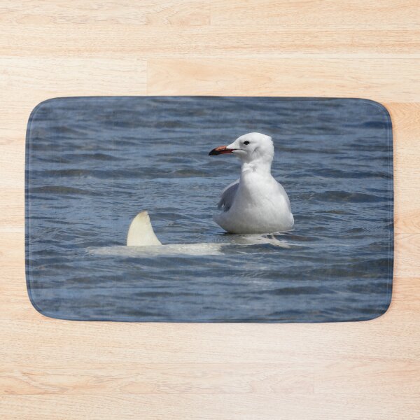 Item preview, Silver gull watching shark swim by designed and sold by Mark Grimsley.