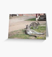 lazy Greeting Card