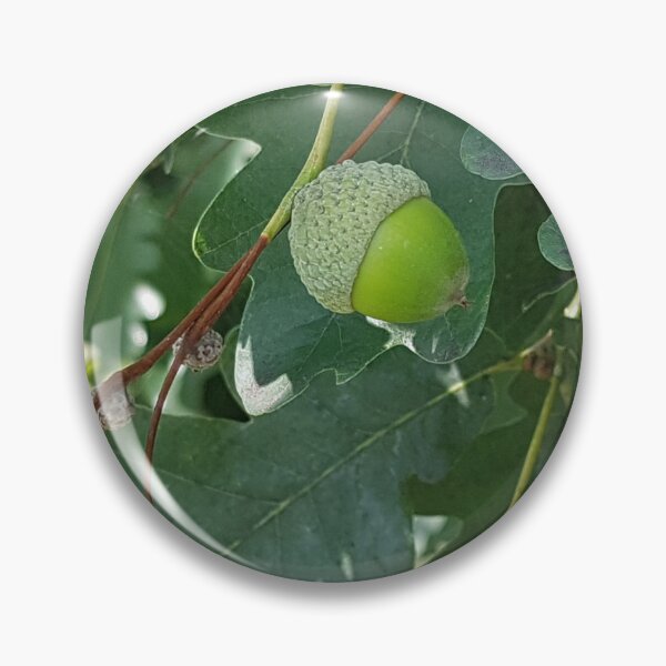 Item preview, Acorn on Green Foliage designed and sold by WhiteSoftPetals.