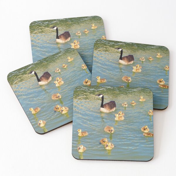 Item preview, Canada Goose and Its Goslings Swimming. designed and sold by BackyardBirder.