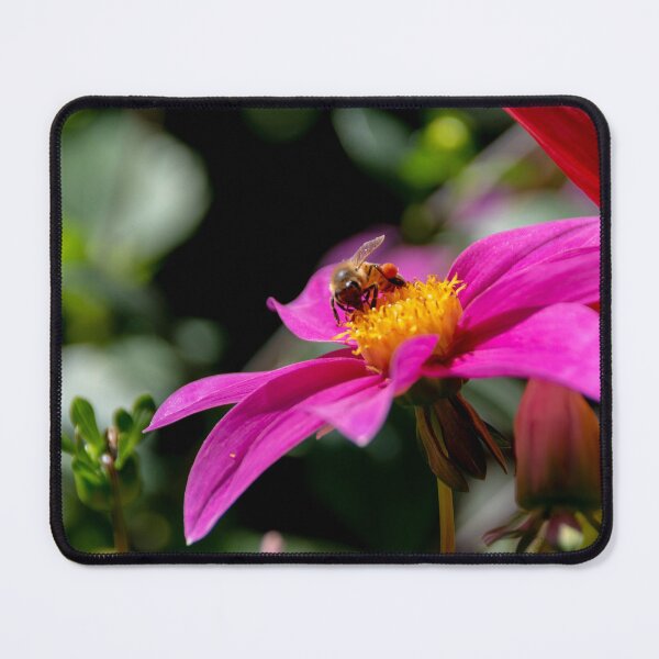 Item preview, Bee on a Purple Flower designed and sold by jrtwynam.