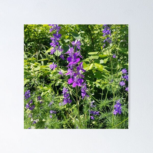 Item preview, Gardens at Mount Vernon designed and sold by Erectopatronum.