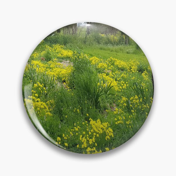 Item preview, Yellow Oxalis Or Soursob In A Paddock designed and sold by Designsbygroovy.