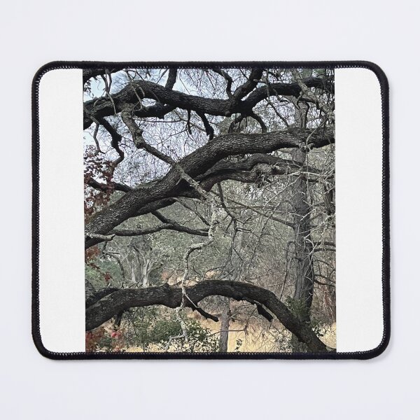 Item preview, Dark tree branches growing horizontally  designed and sold by ClaudiasCousin.