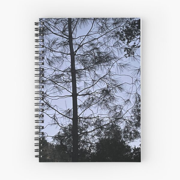 Item preview, Tree with sparse needles against blue sky designed and sold by ClaudiasCousin.