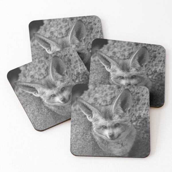 Item preview, Nocturnal Whispers-The Bat-Eared Fox designed and sold by rawshutterbug.