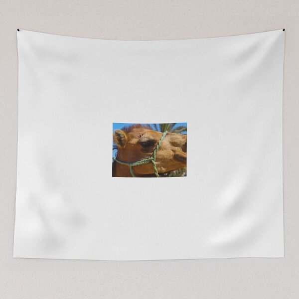 Item preview, Camel lashes designed and sold by exploramum.